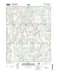 Teshekpuk C-3 SW Alaska Current topographic map, 1:25000 scale, 7.5 X 7.5 Minute, Year 2013