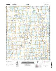 Teshekpuk C-5 SW Alaska Current topographic map, 1:25000 scale, 7.5 X 7.5 Minute, Year 2013