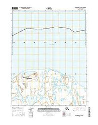 Teshekpuk D-1 NE Alaska Current topographic map, 1:25000 scale, 7.5 X 7.5 Minute, Year 2016