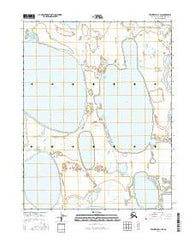 Teshekpuk D-1 SW Alaska Current topographic map, 1:25000 scale, 7.5 X 7.5 Minute, Year 2016