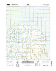 Teshekpuk D-3 SE Alaska Current topographic map, 1:25000 scale, 7.5 X 7.5 Minute, Year 2016