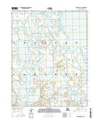 Teshekpuk D-3 SW Alaska Current topographic map, 1:25000 scale, 7.5 X 7.5 Minute, Year 2016