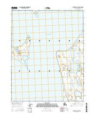 Teshekpuk D-5 NE Alaska Current topographic map, 1:25000 scale, 7.5 X 7.5 Minute, Year 2016