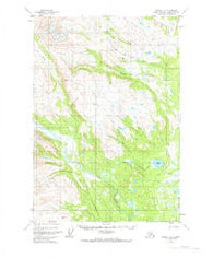 Tyonek C-5 Alaska Historical topographic map, 1:63360 scale, 15 X 15 Minute, Year 1954
