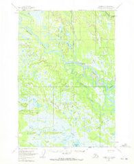 Tyonek D-3 Alaska Historical topographic map, 1:63360 scale, 15 X 15 Minute, Year 1954