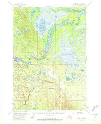 Tyonek D-4 Alaska Historical topographic map, 1:63360 scale, 15 X 15 Minute, Year 1954