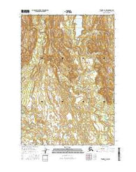Tyonek C-4 NW Alaska Current topographic map, 1:25000 scale, 7.5 X 7.5 Minute, Year 2016