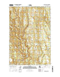 Tyonek D-2 NW Alaska Current topographic map, 1:25000 scale, 7.5 X 7.5 Minute, Year 2016