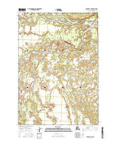 Tyonek D-4 NE Alaska Current topographic map, 1:25000 scale, 7.5 X 7.5 Minute, Year 2016