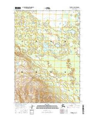 Tyonek D-4 SE Alaska Current topographic map, 1:25000 scale, 7.5 X 7.5 Minute, Year 2016