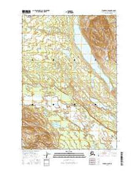 Tyonek D-5 NE Alaska Current topographic map, 1:25000 scale, 7.5 X 7.5 Minute, Year 2016
