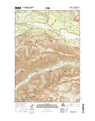 Tyonek D-7 NE Alaska Current topographic map, 1:25000 scale, 7.5 X 7.5 Minute, Year 2016