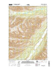 Tyonek D-8 NE Alaska Current topographic map, 1:25000 scale, 7.5 X 7.5 Minute, Year 2016