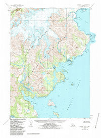 Ugashik A-2 Alaska Historical topographic map, 1:63360 scale, 15 X 15 Minute, Year 1951