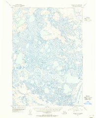 Ugashik C-4 Alaska Historical topographic map, 1:63360 scale, 15 X 15 Minute, Year 1951