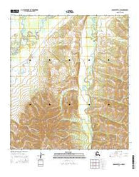 Unalakleet D-2 NW Alaska Current topographic map, 1:25000 scale, 7.5 X 7.5 Minute, Year 2015