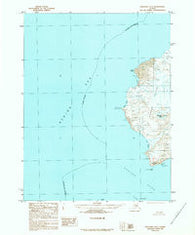 Unalaska D-1 Alaska Historical topographic map, 1:63360 scale, 15 X 15 Minute, Year 1989
