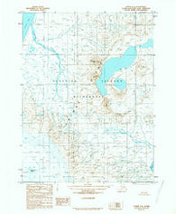 Unimak C-2 Alaska Historical topographic map, 1:63360 scale, 15 X 15 Minute, Year 1989