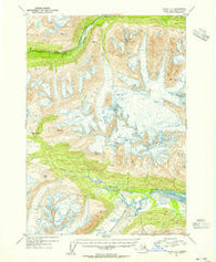 Valdez A-4 Alaska Historical topographic map, 1:63360 scale, 15 X 15 Minute, Year 1953