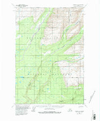 Valdez D-2 Alaska Historical topographic map, 1:63360 scale, 15 X 15 Minute, Year 1959