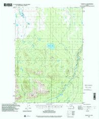 Valdez D-5 Alaska Historical topographic map, 1:63360 scale, 15 X 15 Minute, Year 1996