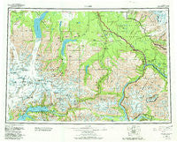 Valdez Alaska Historical topographic map, 1:250000 scale, 1 X 3 Degree, Year 1960