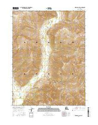 Wiseman B-3 NW Alaska Current topographic map, 1:25000 scale, 7.5 X 7.5 Minute, Year 2016