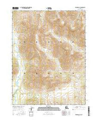 Wiseman B-6 SE Alaska Current topographic map, 1:25000 scale, 7.5 X 7.5 Minute, Year 2016