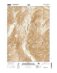 Wiseman C-3 SW Alaska Current topographic map, 1:25000 scale, 7.5 X 7.5 Minute, Year 2016