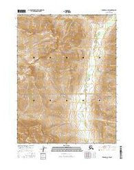 Wiseman C-4 SW Alaska Current topographic map, 1:25000 scale, 7.5 X 7.5 Minute, Year 2016