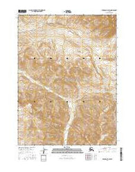 Wiseman D-4 SW Alaska Current topographic map, 1:25000 scale, 7.5 X 7.5 Minute, Year 2016