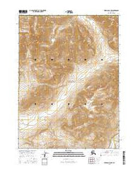 Wiseman D-5 NW Alaska Current topographic map, 1:25000 scale, 7.5 X 7.5 Minute, Year 2016