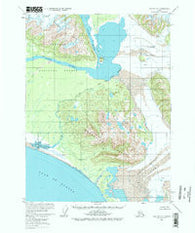 Yakutat A-1 Alaska Historical topographic map, 1:63360 scale, 15 X 15 Minute, Year 1959