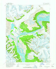 Yakutat B-1 Alaska Historical topographic map, 1:63360 scale, 15 X 15 Minute, Year 1959