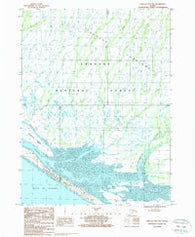 Yakutat B-4 NW Alaska Historical topographic map, 1:25000 scale, 7.5 X 7.5 Minute, Year 1987