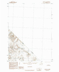 Yakutat C-1 Alaska Historical topographic map, 1:63360 scale, 15 X 15 Minute, Year 1985