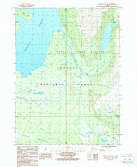 Yakutat C-4 SE Alaska Historical topographic map, 1:25000 scale, 7.5 X 7.5 Minute, Year 1987
