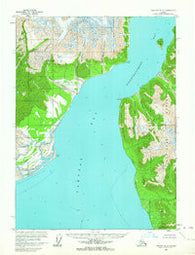 Yakutat D-5 Alaska Historical topographic map, 1:63360 scale, 15 X 15 Minute, Year 1959
