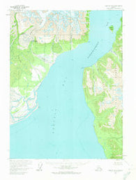 Yakutat D-5 Alaska Historical topographic map, 1:63360 scale, 15 X 15 Minute, Year 1959