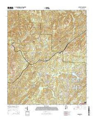 Abernant Alabama Current topographic map, 1:24000 scale, 7.5 X 7.5 Minute, Year 2014