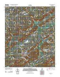 Altoona Alabama Historical topographic map, 1:24000 scale, 7.5 X 7.5 Minute, Year 2011