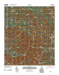 Bashi Alabama Historical topographic map, 1:24000 scale, 7.5 X 7.5 Minute, Year 2011