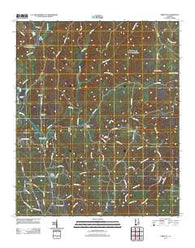 Berry SE Alabama Historical topographic map, 1:24000 scale, 7.5 X 7.5 Minute, Year 2011