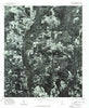 Billingsley SE Alabama Historical topographic map, 1:24000 scale, 7.5 X 7.5 Minute, Year 1975