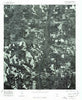 Billingsley SW Alabama Historical topographic map, 1:24000 scale, 7.5 X 7.5 Minute, Year 1975