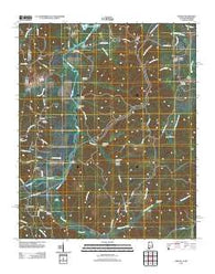 Bishop Alabama Historical topographic map, 1:24000 scale, 7.5 X 7.5 Minute, Year 2011