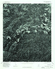 Borden Springs Alabama Historical topographic map, 1:24000 scale, 7.5 X 7.5 Minute, Year 1975