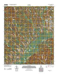 Brantley Alabama Historical topographic map, 1:24000 scale, 7.5 X 7.5 Minute, Year 2011