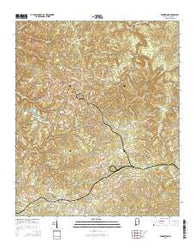Brookwood Alabama Current topographic map, 1:24000 scale, 7.5 X 7.5 Minute, Year 2014