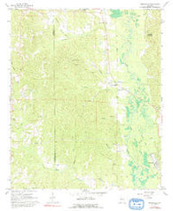 Brownville Alabama Historical topographic map, 1:24000 scale, 7.5 X 7.5 Minute, Year 1967